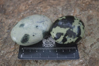 Polished Spotted Leopard Stone Free Forms  x 12 From Zimbabwe