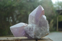 Natural Jacaranda Amethyst Clusters  x 2 From Zambia - Toprock Gemstones and Minerals 