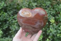 Polished Petrified Wood Hearts x 2 From Mahajanga, Madagascar