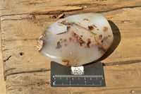 Polished Trio Of Dendritic Agate Standing Free Forms  x 3 From Moralambo, Madagascar - TopRock