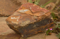 Natural Large Nguni Jasper Specimens  x 2 From Northern Cape, South Africa - TopRock