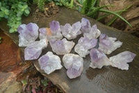 Natural Small Jacaranda Amethyst Specimens  x 12 From Mumbwa, Zambia - Toprock Gemstones and Minerals 