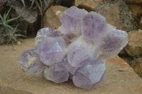 Natural Jacaranda Amethyst Cluster x 1 From Mumbwa, Zambia - TopRock