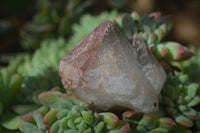 Natural Smokey Hematoid Quartz Crystals  x 35 From Madagascar