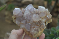 Natural Spirit Amethyst Quartz Clusters  x 4 From Boekenhouthoek, South Africa - Toprock Gemstones and Minerals 