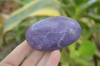 Polished Purple Lepidolite Palm Stones  x 12 From Zimbabwe