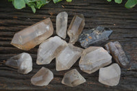 Natural Mixed Single Smokey Quartz Crystals  x 12 From Southern Africa - TopRock