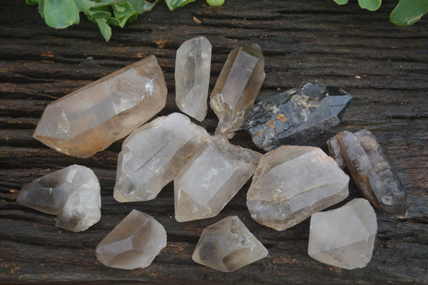 Natural Mixed Single Smokey Quartz Crystals  x 12 From Southern Africa - TopRock