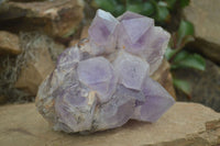 Natural Jacaranda Amethyst Cluster x 1 From Mumbwa, Zambia - TopRock