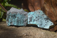 Natural Drusy Coated Chrysocolla Dolomite Specimens x 6 From Likasi, Congo