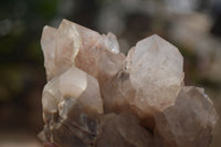 Natural Cascading Smokey Quartz Clusters x 3 From Luena, Congo