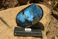 Polished Labradorite Standing Free Forms With Intense Blue & Gold Flash x 3 From Tulear, Madagascar - TopRock