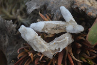 Natural Drusy Quartz Coated Calcite Crystals  x 12 From Alberts Mountain, Lesotho - Toprock Gemstones and Minerals 