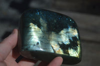 Polished Flashy Blue & Gold Labradorite Standing Free Forms x 2 From Madagascar - Toprock Gemstones and Minerals 