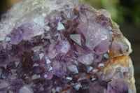 Natural Stunning Rare Deep Purple Spirit Amethyst Cluster  x 1 From Boekenhouthoek, South Africa - Toprock Gemstones and Minerals 