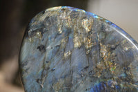 Polished Flashy Labradorite Standing Free Forms  x 2 From Tulear, Madagascar - Toprock Gemstones and Minerals 