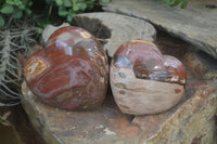 Polished Petrified Wood Hearts x 2 From Mahajanga, Madagascar