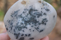 Polished Tourmalinated Quartz Standing Free Forms  x 4 From Namibia - TopRock