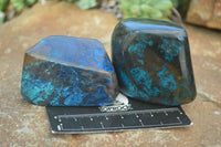 Polished Blue Shattuckite Free Forms  x 6 From Kaokoveld, Namibia - Toprock Gemstones and Minerals 