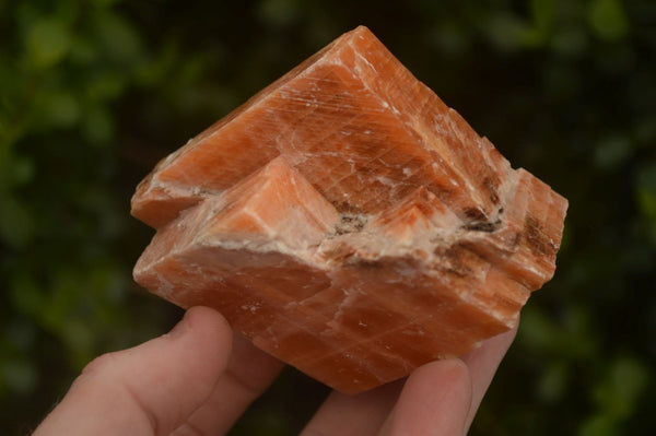 Natural New Sunset Orange Calcite Specimens  x 4 From Spitzkop, Namibia