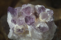 Natural Sugar Amethyst Clusters  x 4 From Solwezi, Zambia