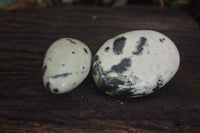 Polished Spotted Leopard Stone Free Forms  x 12 From Zimbabwe