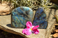 Polished Labradorite Standing Free Forms With Intense Blue Flash x 2 From Sakoany, Madagascar - TopRock