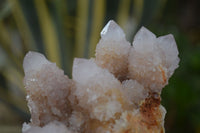 Natural Spirit Amethyst / Ametrine Quartz Clusters  x 2 From Boekenhouthoek, South Africa - Toprock Gemstones and Minerals 