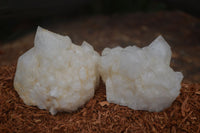 Natural Highly Selected Candle Quartz Clusters  x 5 From Madagascar - Toprock Gemstones and Minerals 