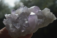 Natural Jacaranda Amethyst Clusters  x 3 From Mumbwa, Zambia - Toprock Gemstones and Minerals 