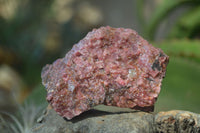 Natural Rough Red Rhodonite Specimens x 6 From Zimbabwe