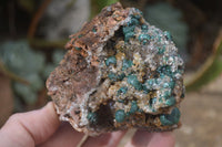 Natural Rare Ball Malachite On Drusy Quartz & Dolomite Specimens x 2 From Kambove, Congo