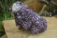 Natural Stunning Rare Deep Purple Spirit Amethyst Cluster  x 1 From Boekenhouthoek, South Africa - Toprock Gemstones and Minerals 