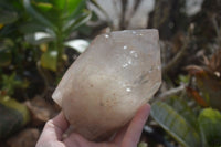 Polished Arcadian Quartz Crystals Points x 2 From Angola