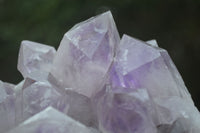 Natural Jacaranda Amethyst Clusters  x 2 From Zambia - Toprock Gemstones and Minerals 