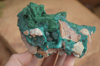 Natural Unique Dioptase & Bladed Malachite Specimen  x 1 From Likasi, Congo