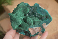 Natural Unique Dioptase & Bladed Malachite Specimen  x 1 From Likasi, Congo