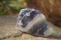 Polished Watermelon Fluorite Slices  x 12 From Namibia