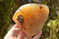 Polished Trio Of Dendritic Agate Standing Free Forms  x 3 From Moralambo, Madagascar - TopRock