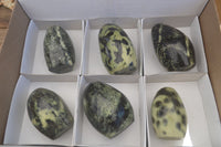 Polished Spotted Leopard Stone Standing Free Forms  x 6 From Zimbabwe