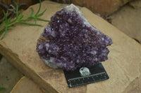 Natural Stunning Rare Deep Purple Spirit Amethyst Cluster  x 1 From Boekenhouthoek, South Africa - Toprock Gemstones and Minerals 