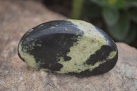 Polished Spotted Leopard Stone Free Forms  x 12 From Zimbabwe