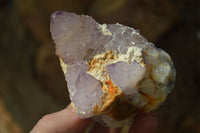 Natural Spirit Amethyst Quartz Clusters x 6 From Boekenhouthoek, South Africa