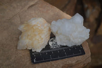 Natural Highly Selected Candle Quartz Clusters  x 5 From Madagascar - Toprock Gemstones and Minerals 