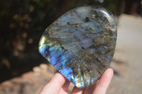 Polished Flashy Labradorite Standing Free Forms  x 2 From Tulear, Madagascar - Toprock Gemstones and Minerals 