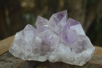 Natural Jacaranda Amethyst Clusters  x 2 From Zambia - Toprock Gemstones and Minerals 