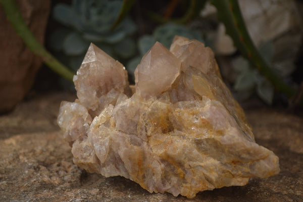 Natural Cascading Smokey Quartz Clusters x 2 From Luena, Congo