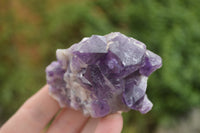 Natural Deep Jacaranda Amethyst Crystal Clusters  x 6 From Zambia - TopRock