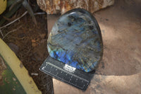 Polished Flashy Labradorite Standing Free Forms  x 2 From Tulear, Madagascar - Toprock Gemstones and Minerals 