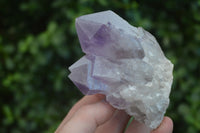 Natural Small Jacaranda Amethyst Specimens  x 12 From Mumbwa, Zambia - Toprock Gemstones and Minerals 